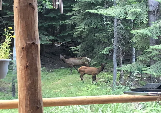 Photo 55 of Single family home for sale at 136 Brown Bear Ln, De Borgia, MT 59830 | MLS# 30075051 | Listing updated on 2026-08-24