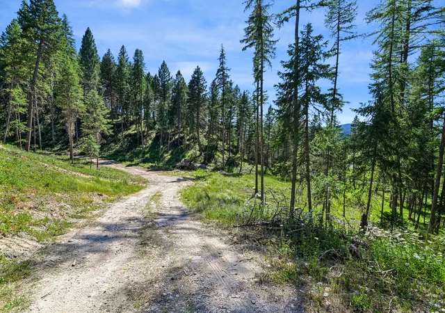 Photo 5 of Land for sale at 1082 Whitefish Ridge Rd, Whitefish, MT 59937 | MLS# 30075067 | Listing updated on 2026-08-14