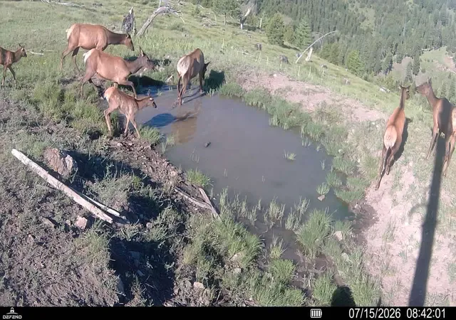 Photo 3 of Land for sale at 3 Tract Garnet Range, Drummond, MT 59825 | MLS# 30074991 | Listing updated on 2026-08-20