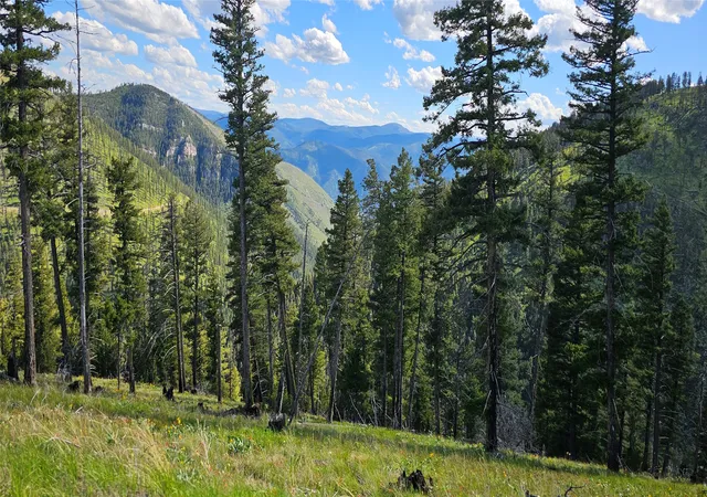 Photo 3 of Land for sale at 4 Tract Garnet Range, Drummond, MT 59825 | MLS# 30074995 | Listing updated on 2026-08-20