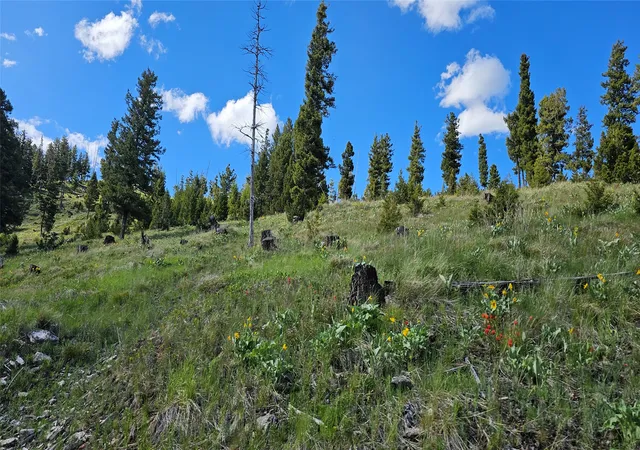 Photo 4 of Land for sale at 4 Tract Garnet Range, Drummond, MT 59825 | MLS# 30074995 | Listing updated on 2026-08-20