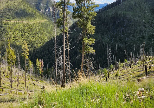 Photo 5 of Land for sale at 4 Tract Garnet Range, Drummond, MT 59825 | MLS# 30074995 | Listing updated on 2026-08-20