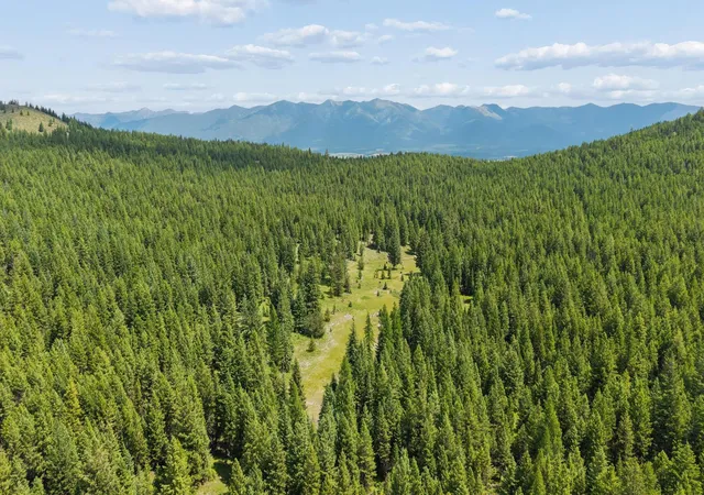Photo 3 of Land for sale at 554 Pinkham Rd, Rexford, MT 59930 | MLS# 30075098 | Listing updated on 2026-08-24