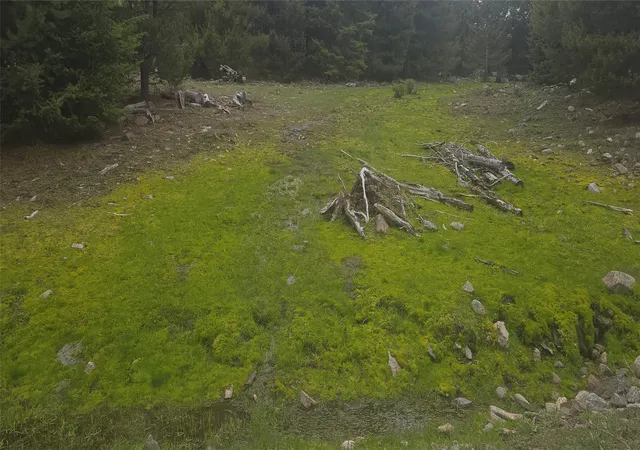 Photo 9 of Land for sale at 10 Tract Garnet Range, Drummond, MT 59832 | MLS# 30075002 | Listing updated on 2026-08-20