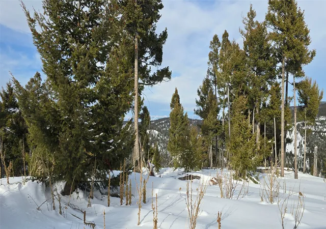 Photo 2 of Land for sale at 13 Tract Garnet Range, Drummond, MT 59832 | MLS# 30075021 | Listing updated on 2026-08-20