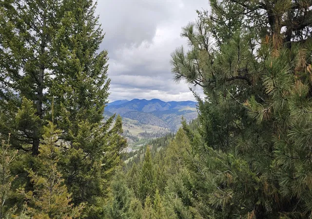 Photo 4 of Land for sale at 3 Tract Bull Elk, Drummond, MT 59832 | MLS# 30075029 | Listing updated on 2026-08-20