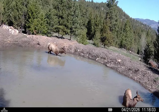Photo 24 of Land for sale at 4 Tract Bull Elk, Drummond, MT 59832 | MLS# 30075030 | Listing updated on 2026-08-20