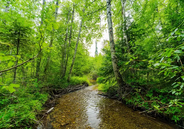Photo 1 of Land for sale at Nhn Trumbull Cyn Rd, Columbia Falls, MT 59912 | MLS# 30075242 | Listing updated on 2026-09-23