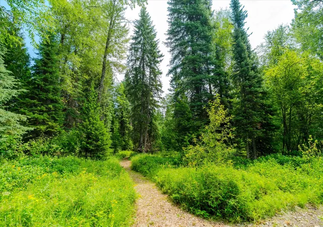 Photo 4 of Land for sale at Nhn Trumbull Cyn Rd, Columbia Falls, MT 59912 | MLS# 30075242 | Listing updated on 2026-09-23