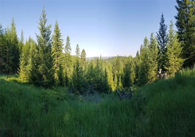 Photo 1 of Land for sale at E Half Lot 2a Haywire Gulch, Kalispell, MT 59901 | MLS# 30076039 | Listing updated on 2026-08-07
