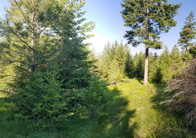 Photo 3 of Land for sale at E Half Lot 2a Haywire Gulch, Kalispell, MT 59901 | MLS# 30076039 | Listing updated on 2026-08-07