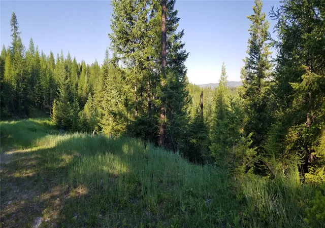 Photo 3 of Land for sale at E Half Lot 2a Haywire Gulch, Kalispell, MT 59901 | MLS# 30076039 | Listing updated on 2026-08-07