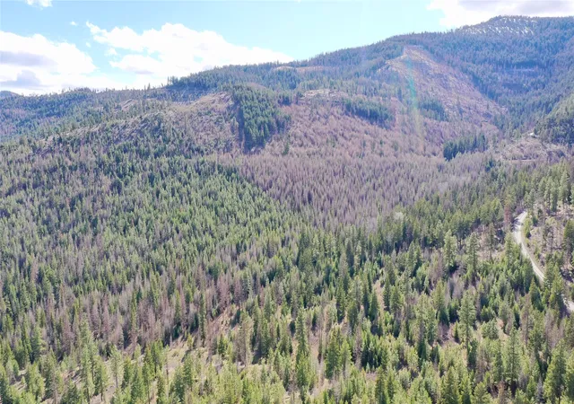 Photo 12 of Land for sale at Tract 1c Cramer Crk Rd, Somers, MT 59932 | MLS# 30075683 | Listing updated on 2026-08-07