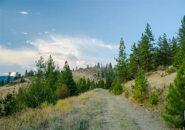 Photo 5 of Land for sale at Lot 4 Yosyrian Ln, Plains, MT 59859 | MLS# 30075532 | Listing updated on 2026-08-18