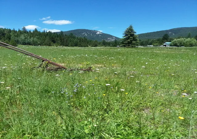 Photo 1 of Single family home for sale at 77 Wildwood Dr, De Borgia, MT 59830 | MLS# 30076326 | Listing updated on 2026-08-13