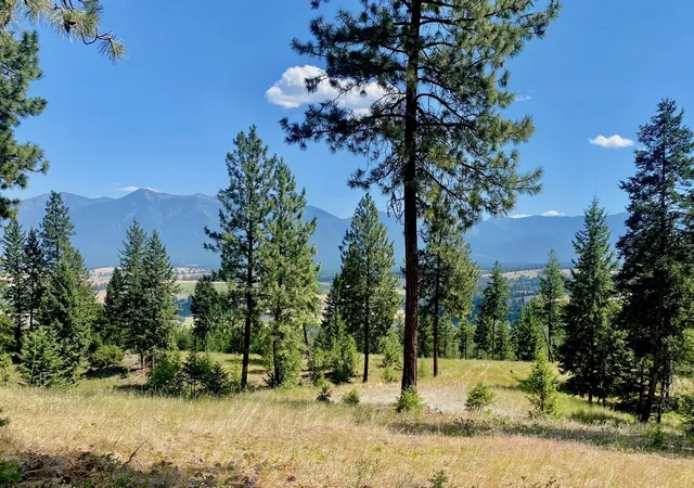 Photo 1 of Land for sale at Nhn Hillandale Trl, Eureka, MT 59917 | MLS# 30076285 | Listing updated on 2026-08-14
