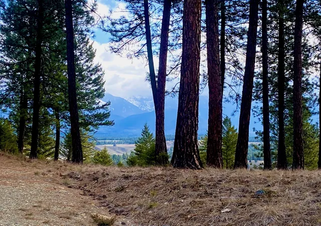 Photo 3 of Land for sale at Nhn Hillandale Trl, Eureka, MT 59917 | MLS# 30076285 | Listing updated on 2026-08-14