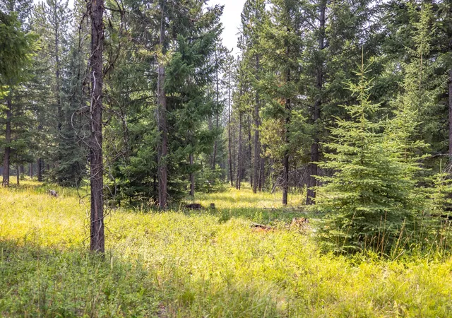 Photo 4 of Land for sale at Nhn Fortine Crk Rd, Trego, MT 59934 | MLS# 30076446 | Listing updated on 2026-08-10