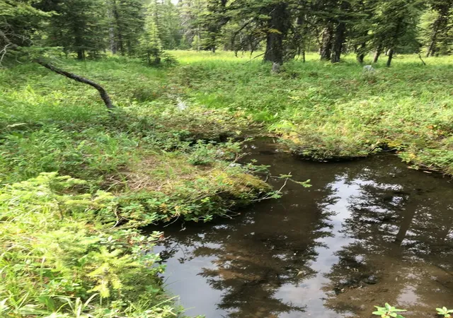 Photo 1 of Land for sale at Nhn Michael Davitt And The Kan Lode Granite Mining Rd, Philipsburg, MT 59858 | MLS# 30076496 | Listing updated on 2026-08-10