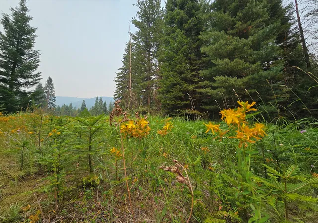 Photo 3 of Land for sale at 12941 Yaak River Rd, Troy, MT 59935 | MLS# 30076538 | Listing updated on 2026-08-22