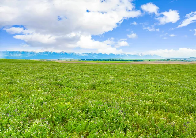 Photo 2 of Land for sale at Nhn Camas Rd, Polson, MT 59860 | MLS# 30076655 | Listing updated on 2026-08-12