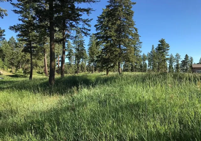 Photo 3 of Land for sale at Lot 2 Black Lake Rd, Rexford, MT 59930 | MLS# 30076682 | Listing updated on 2026-08-12