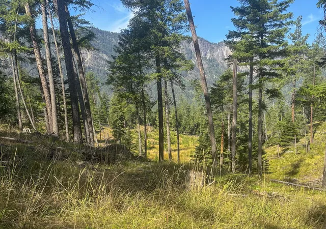 Photo 1 of Land for sale at 22 Flatiron Way, Thompson Falls, MT 59873 | MLS# 30076776 | Listing updated on 2026-08-17