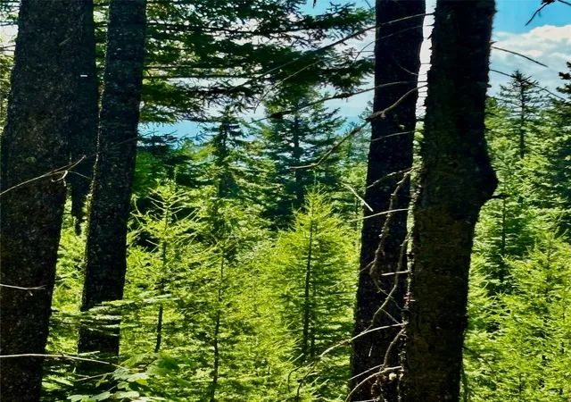 Photo 2 of Land for sale at 964 Northwoods Dr, Whitefish, MT 59937 | MLS# 30076362 | Listing updated on 2026-08-17