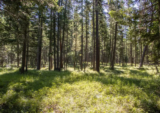 Photo 3 of Land for sale at 650 Boulder Ridge Trl, Columbia Falls, MT 59912 | MLS# 30077111 | Listing updated on 2026-09-30