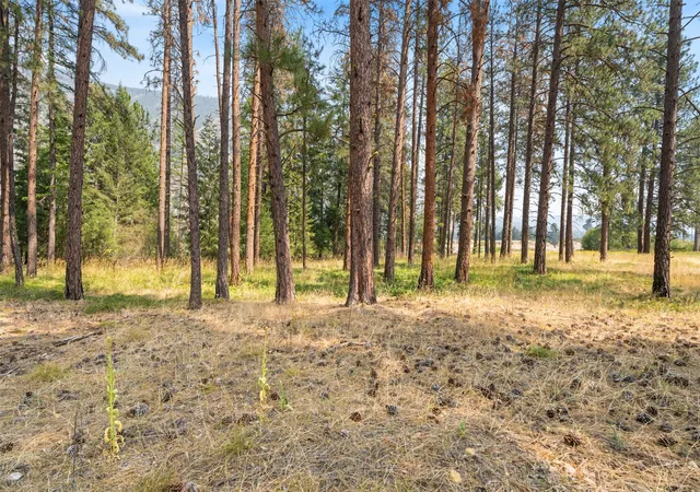 Photo 16 of Land for sale at Nhn River Rd W, Plains, MT 59859 | MLS# 30077140 | Listing updated on 2026-08-26