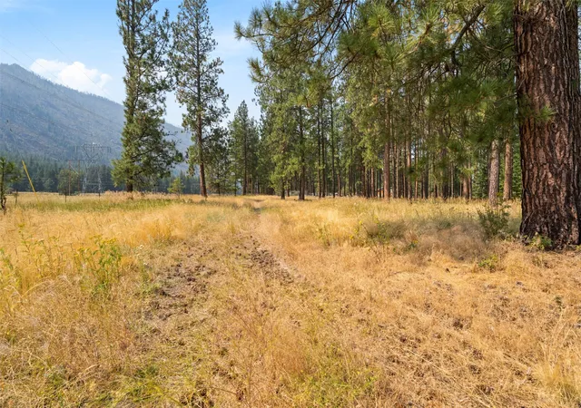 Photo 5 of Land for sale at Nhn River Rd W, Plains, MT 59859 | MLS# 30077140 | Listing updated on 2026-08-26