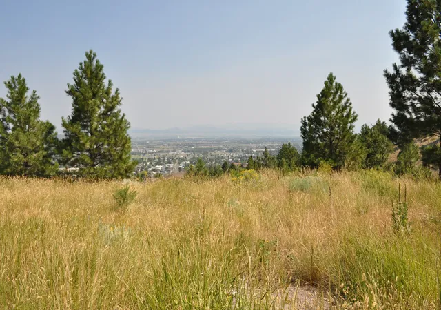 Photo 2 of Land for sale at 2095 Reber Rd #1311, Helena, MT 59601 | MLS# 30077113 | Listing updated on 2026-08-21