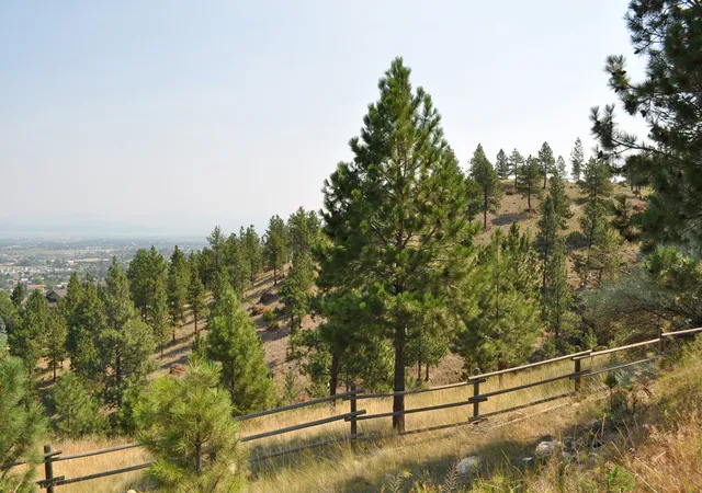 Photo 3 of Land for sale at 2095 Reber Rd #1311, Helena, MT 59601 | MLS# 30077113 | Listing updated on 2026-08-21