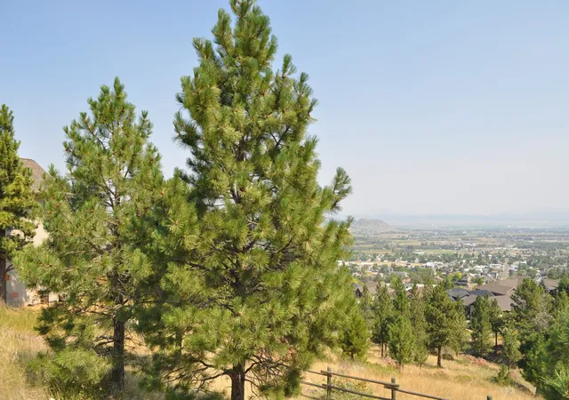Photo 4 of Land for sale at 2095 Reber Rd #1311, Helena, MT 59601 | MLS# 30077113 | Listing updated on 2026-08-21