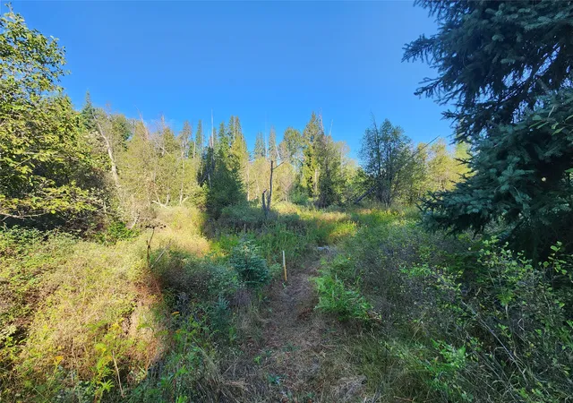 Photo 2 of Land for sale at 174 Double Creek Ln, Troy, MT 59935 | MLS# 30075458 | Listing updated on 2026-08-21