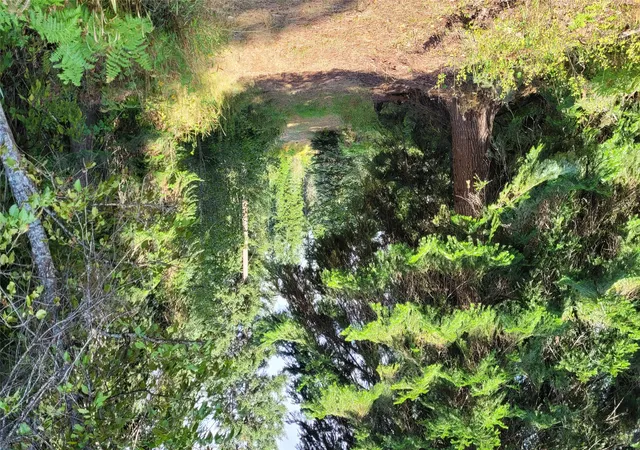 Photo 4 of Land for sale at 174 Double Creek Ln, Troy, MT 59935 | MLS# 30075458 | Listing updated on 2026-08-21