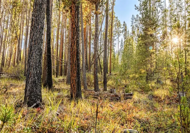 Photo 1 of Land for sale at Lot 7 Tbd Mitchell Dr, Anaconda, MT 59711 | MLS# 30077198 | Listing updated on 2026-08-22