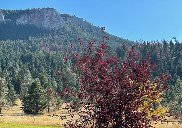 Photo 1 of Land for sale at 000 Reber Rd, Helena, MT 59601 | MLS# 30077294 | Listing updated on 2026-08-25
