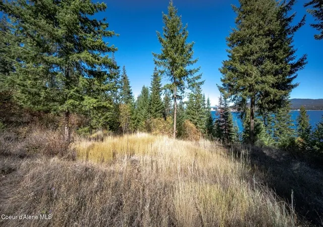 Photo 4 of Land for sale at 3676 S N Cape Rd, Coeur D Alene, ID 83814 | MLS# 25-10449 | Listing updated on 2026-08-21