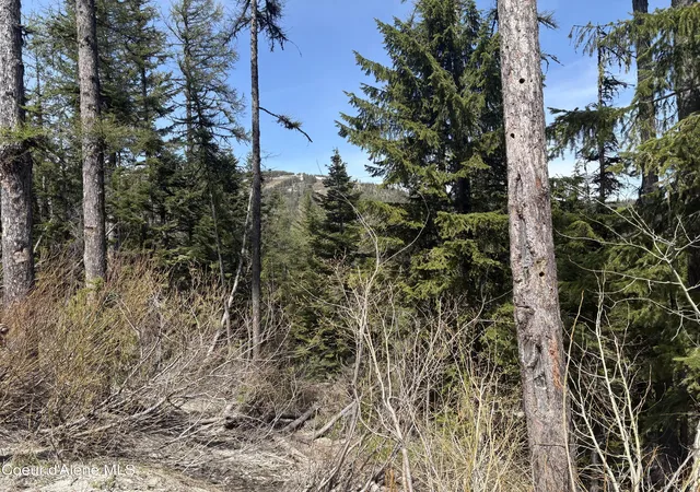 1st image of Nka Parallel Run Blk 6 Lot 9a, Ponderay, ID 83852 | MLS# 25-10507