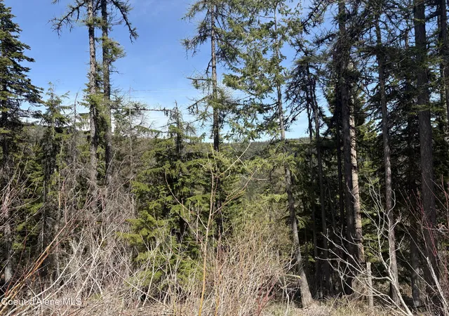 2nd image of Nka Parallel Run Blk 6 Lot 9a, Ponderay, ID 83852 | MLS# 25-10507