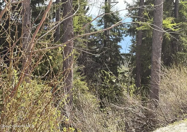 5th image of Nka Parallel Run Blk 6 Lot 9A, Ponderay, ID 83852 | MLS# 25-10507