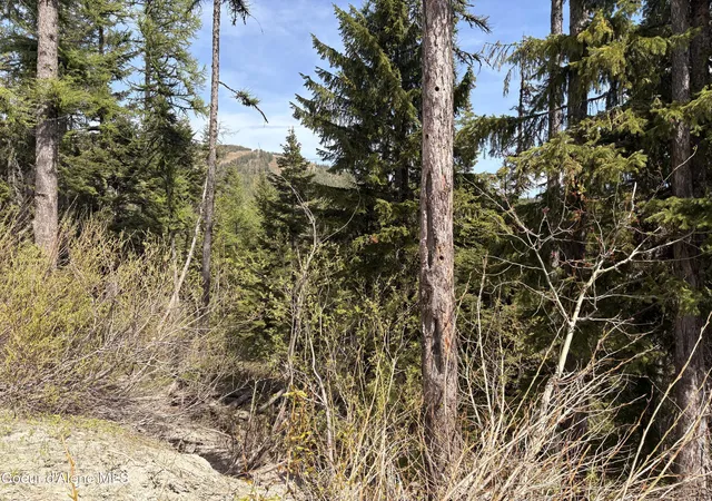 6th image of Nka Parallel Run Blk 6 Lot 9a, Ponderay, ID 83852 | MLS# 25-10507