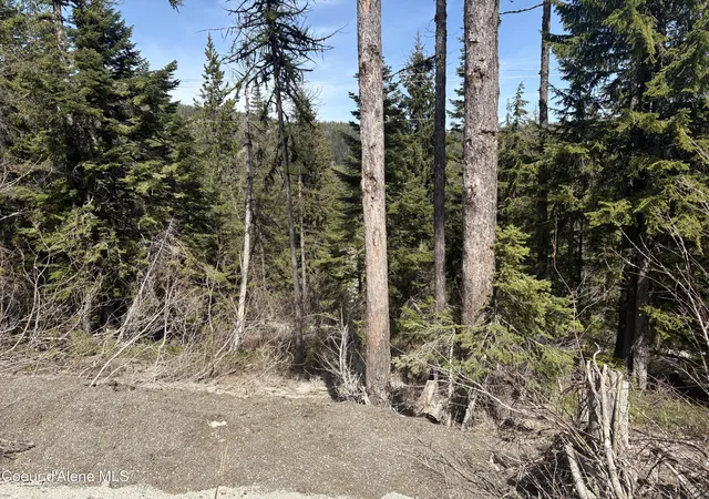 2nd image of Nka Parallel Run Blk 6 Lot 10, Ponderay, ID 83852 | MLS# 25-10505