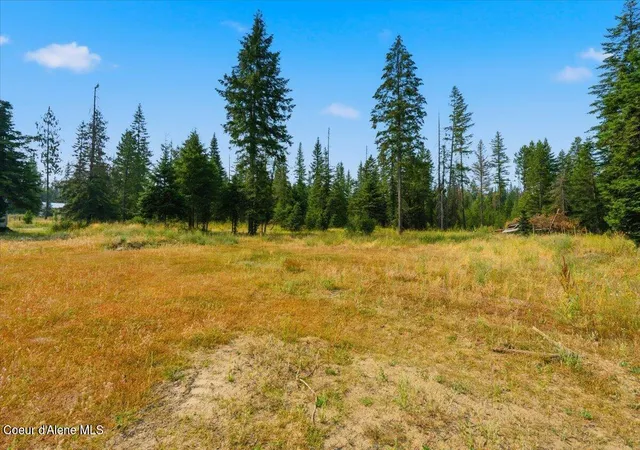 1st image of 258 Nitty Gritty Ln, Priest River, ID 83856 | MLS# 26-3397