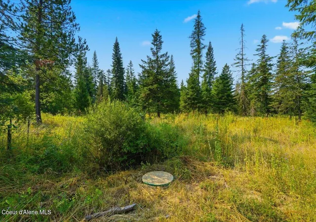 Photo 3 of Sale Pending at Nna Topwater Ln, Priest River, ID 83856 | MLS# 26-3397 | Listing updated on 2026-09-09
