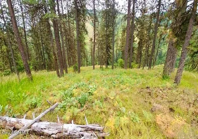 Photo 2 of Land for sale at 136 Heavy Grace Ln, Kamiah, ID 83536 | MLS# 26-8169 | Listing updated on 2026-09-01