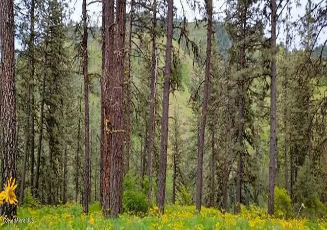 Photo 4 of Land for sale at 136 Heavy Grace Ln, Kamiah, ID 83536 | MLS# 26-8169 | Listing updated on 2026-09-01