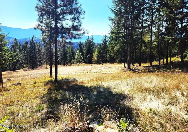 Photo 3 of Land for sale at Nka Enchanted Forest Trl (lots 2&3), Hope, ID 83836 | MLS# 26-5734 | Listing updated on 2026-09-22