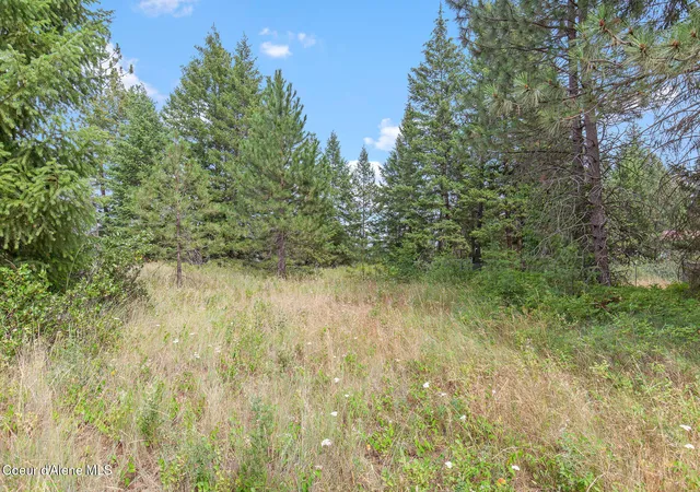 1st image of Nka E Forest View Rd, Athol, ID 83801 | MLS# 26-7434